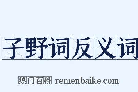 子野词反义词是什么意思的图片